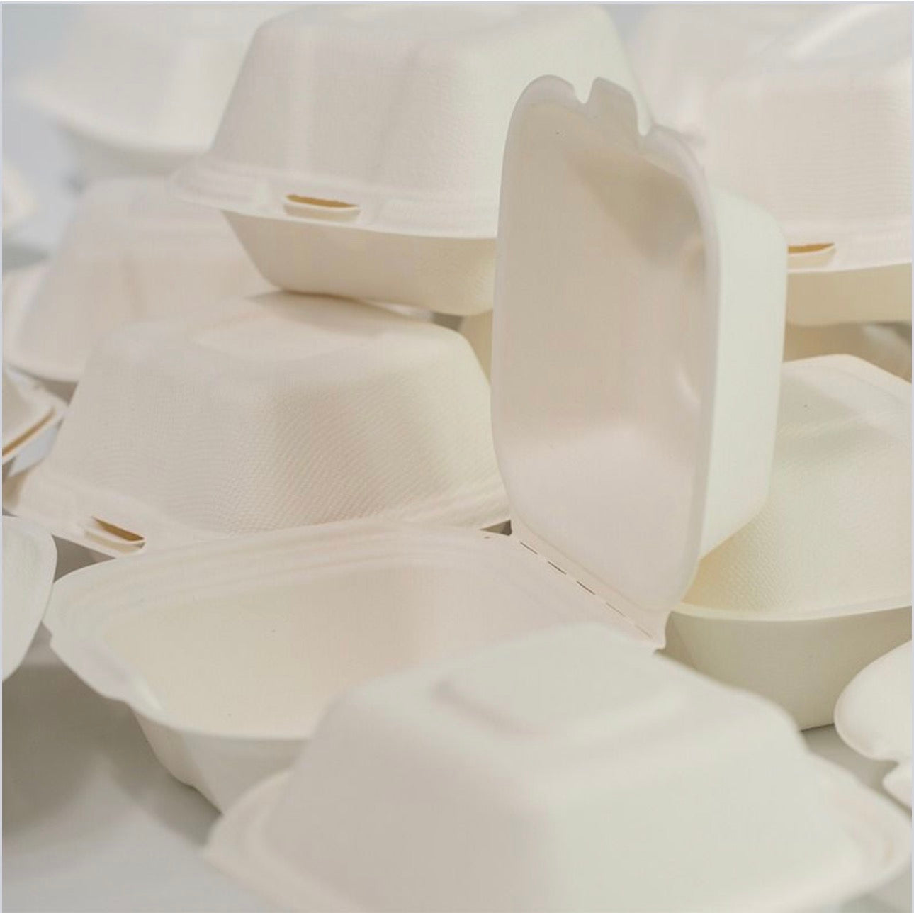 5 x 5” Bagasse Clamshells Burger Box Containers 132x132x65mm