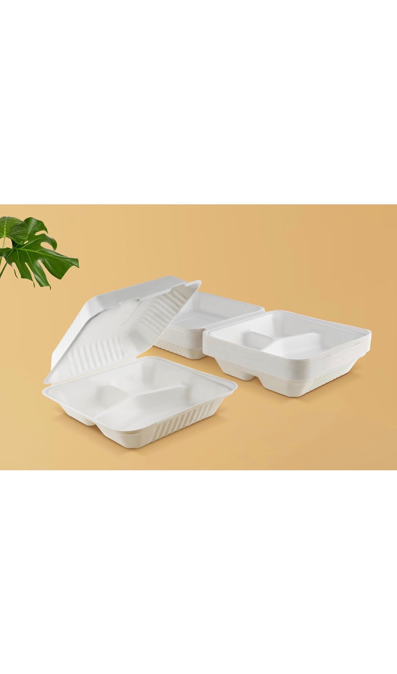 9 x 9” Bagasse Clamshells Three Compartment Section Meal Box Containers