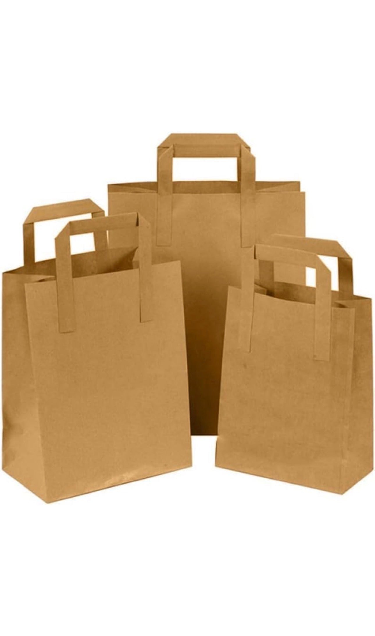 Medium Kraft Handled Paper Carrier Bag - 100 Pack (22cm x 11cm x 25cm)
