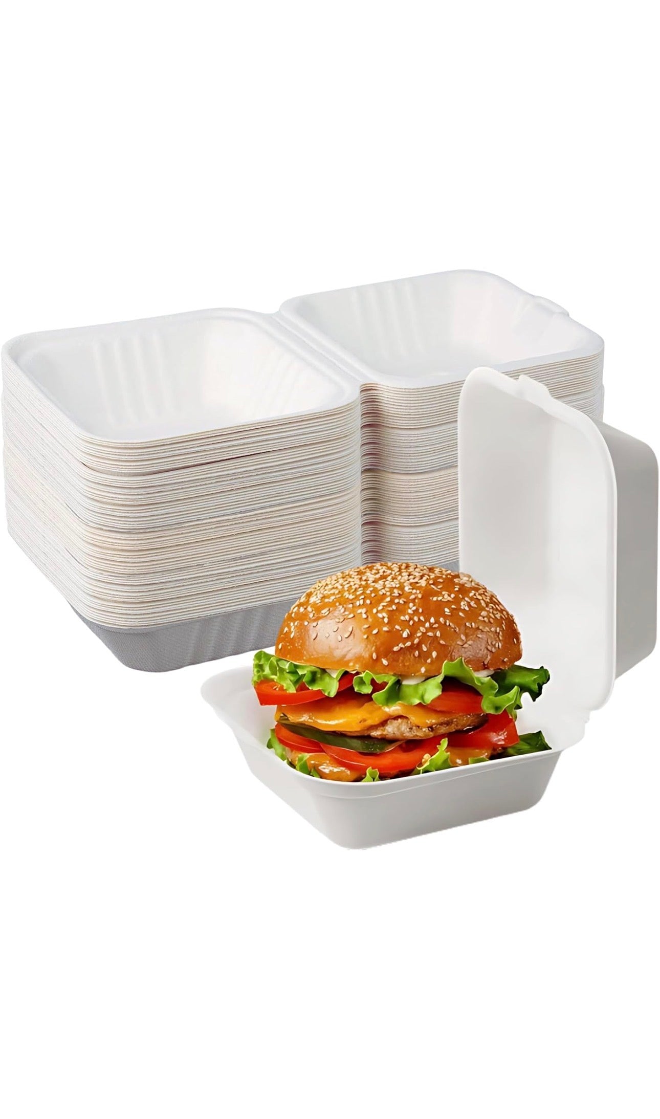 6” Bagasse Clamshell Takeaway Food Box Containers - 6 x 6 inch Burger Box