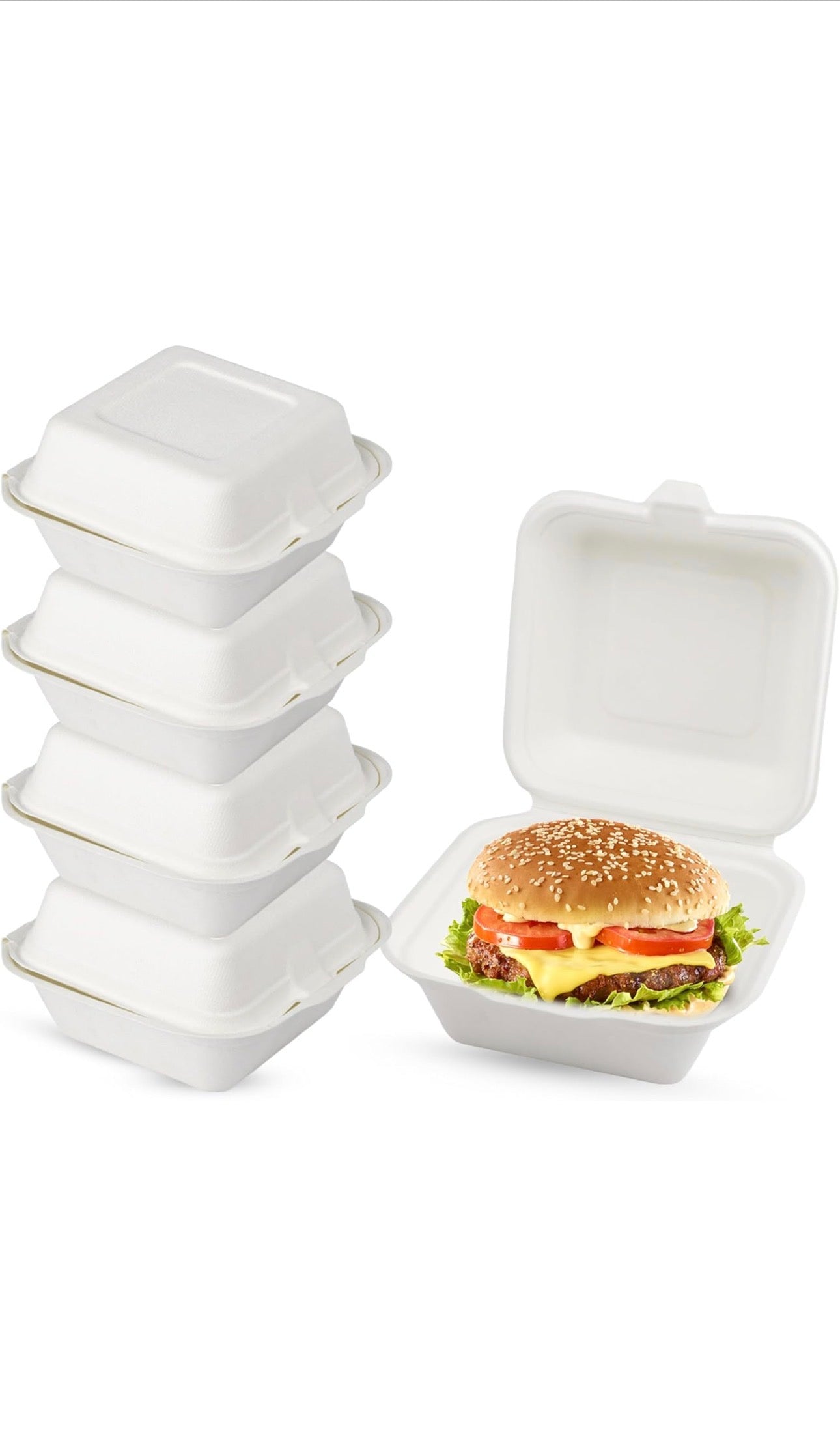 6” Bagasse Clamshell Takeaway Food Box Containers - 6 x 6 inch Burger Box