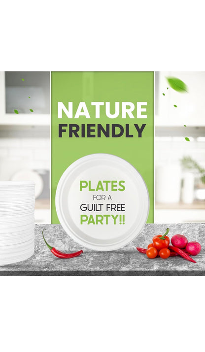 Green Disposable Sugarcane Bagasse Plates, 10 inch (25 cm)