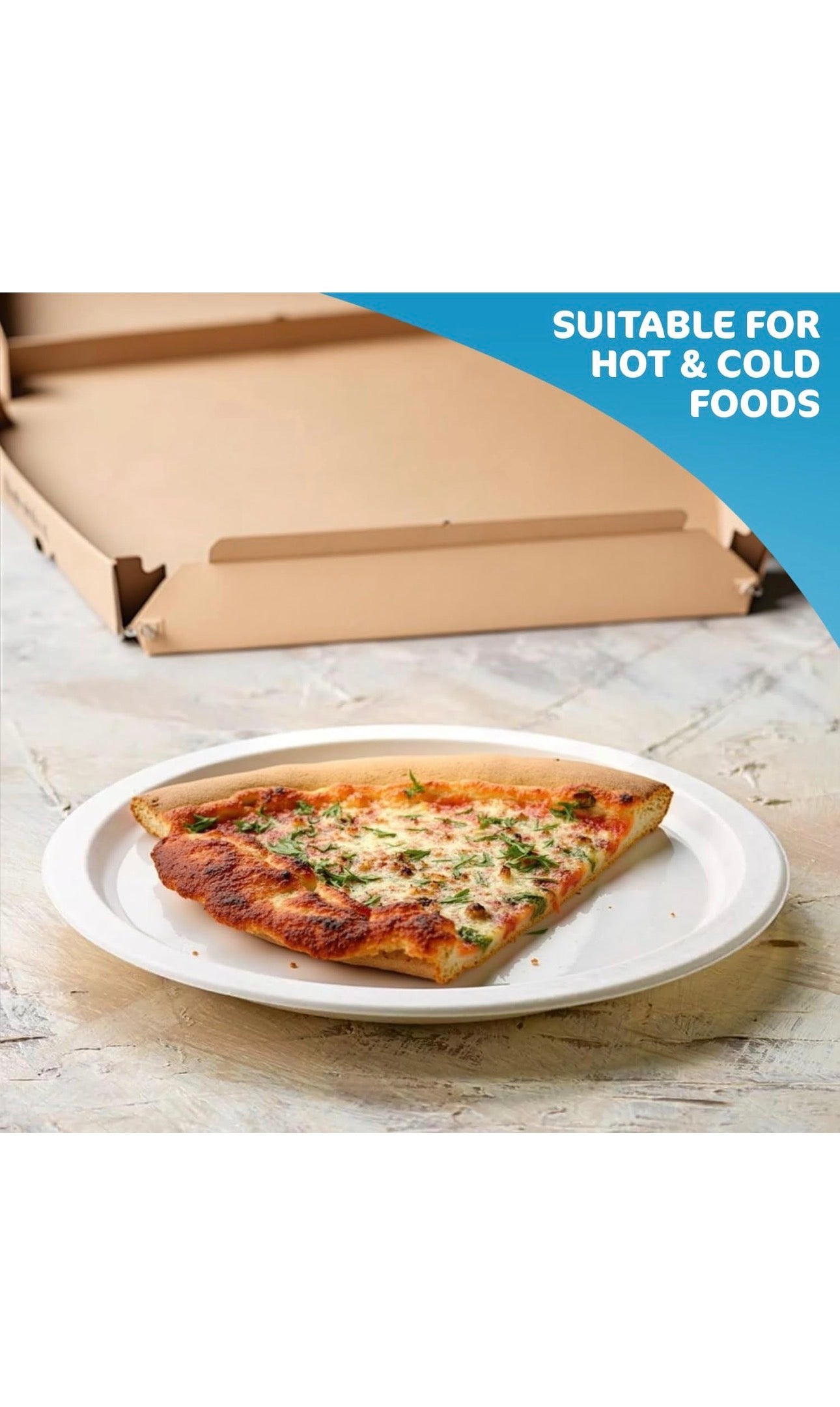 Green Disposable Sugarcane Bagasse Plates, 10 inch (25 cm)