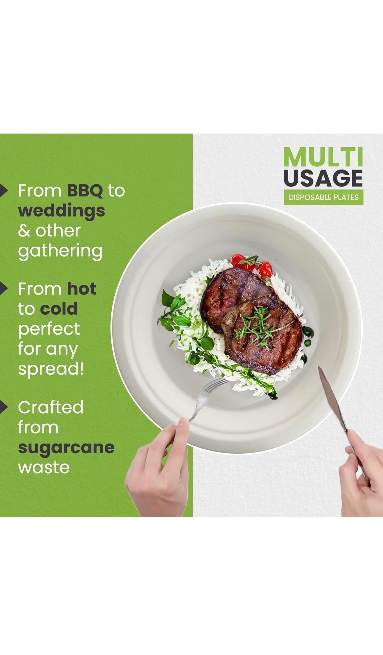 Green Disposable Sugarcane Bagasse Plates, 10 inch (25 cm)